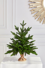 Pretty bushy danish Christmas tree without decorations in a large pot wrapped in sackcloth with space for your message on white background