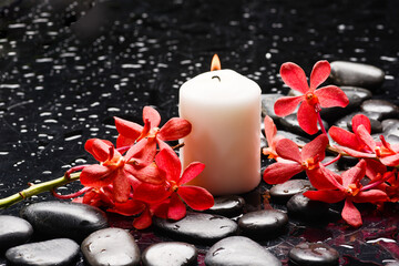 Still life of with 
branch red orchid ,candle and zen black stones on wet background
