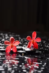 Deurstickers Still life of with lying on   Two red orchid , and zen black stones on wet background  © Mee Ting
