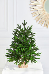 Pretty bushy danish Christmas tree without decorations in a large pot wrapped in sackcloth with space for your message on white background