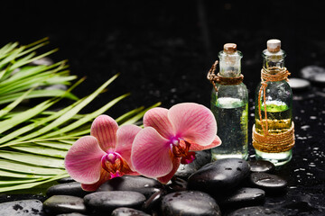 Still life of with 
Two pink , oil bottle and zen black stones ,green palm wet background
