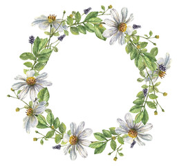 Delicate watercolor wreath with chamomile flowers, herbs and leaves for wedding invitations, greeting cards and business cards.