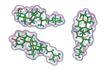 Molecule of cholesterol, 3D illustration