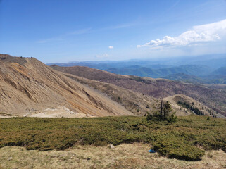 spring in the Kopaonik national park in Serbia