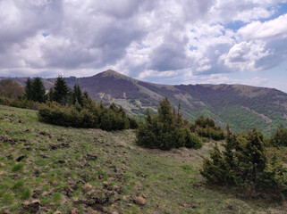 spring in the Kopaonik national park in Serbia