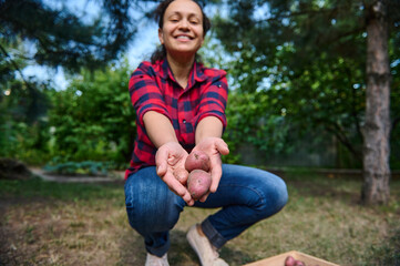 Focus on a young freshly harvested potatoes in the outstretched hands of a blurred woman farmer cutely smiling at camera