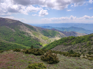 Fototapeta na wymiar spring in the Kopaonik national park in Serbia