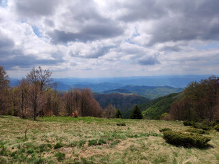 spring in the Kopaonik national park in Serbia