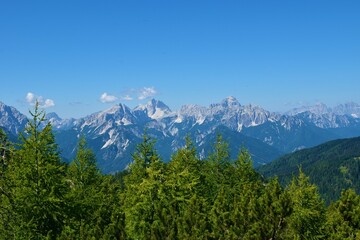 View of mountains Jalovec and Mangart in Julian alps, Gorenjska, Slovenia and larch (Larix decidua) trees