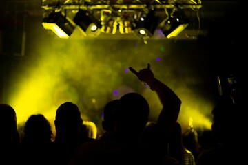 raised hands of crazy people at a rock concert, front and back background is blurred with bokeh effect