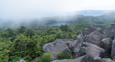 Fototapeta na wymiar 高見石から見る白駒池