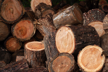 積まれた丸太