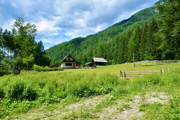 Meadow with a house at Jezersko in Gorenjska, Slovenia and mountain slopes behind covered in coniferous forest