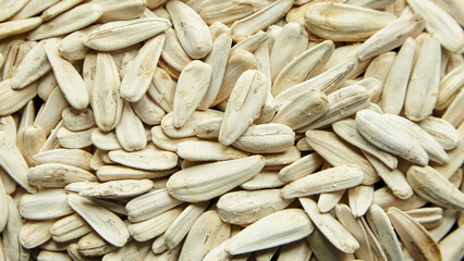 Dry salted white sunflower seeds