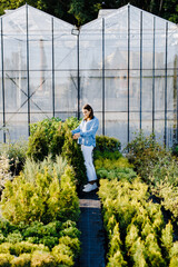 A young woman stands in a large greenhouse and chooses a pot with a small tree. A woman chooses plants for landscaping the yard. Home gardening concept
