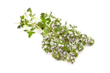 Bunch of fresh thyme isolated on white background