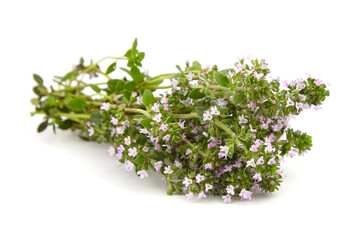 Bunch of fresh thyme isolated on white background