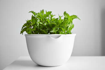 Fresh mint leaves in white bowl, medicinal herb