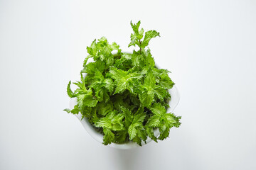 Obraz premium Fresh mint leaves in bowl, medicinal herb, top view
