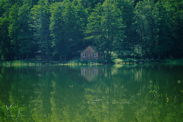 Fototapeta premium wooden house on the shore of the lake among the trees on a summer day