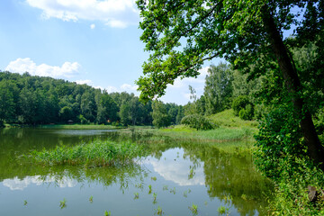 pond in the forest on a summer day