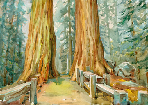 Sequoia National Park in the southern Sierra Nevada. Poster from a series of USA National Parks. Hand-painted panoramic background.