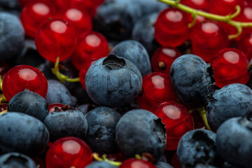 fresh berries close up, blueberry and red currant background, Texture berries