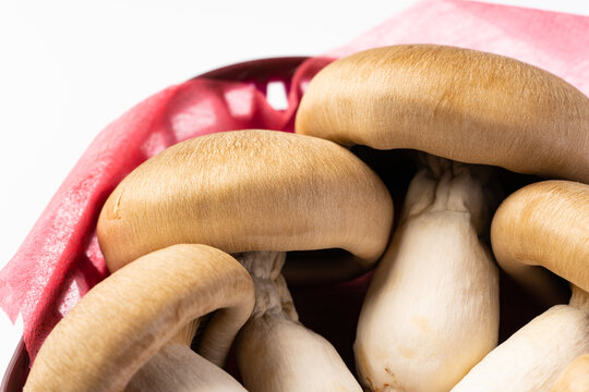 本しめじ」の写真素材 | 330件の無料イラスト画像 | Adobe Stock