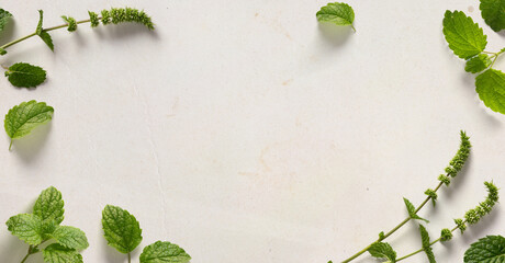 art Food and cooking banner background. Spices and herbs. Variety of spices and mediterranean herbs.