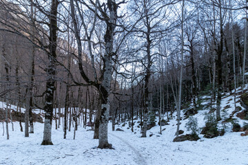 snowy trail in ordesa national park in the spanish pyrenees