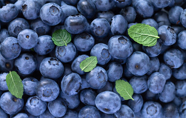 Blueberry or huckleberry pattern and background with leaves top view