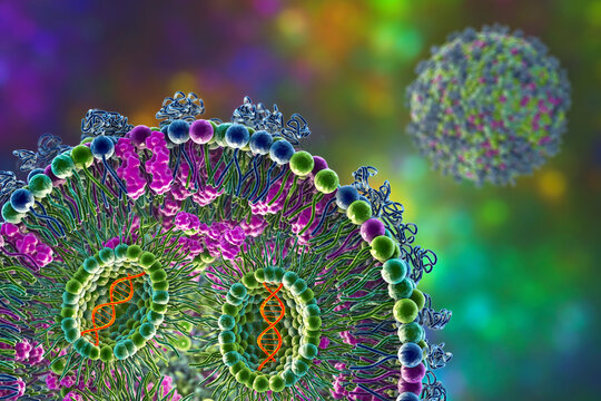 Lipid nanoparticle siRNA delivery system, 3D illustration	