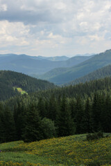 Carpatian mountains. way to Howerla. mountain and forest. Nature wallpapers.