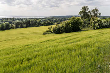 green field near Lumsas, Sjaellands, Denmark