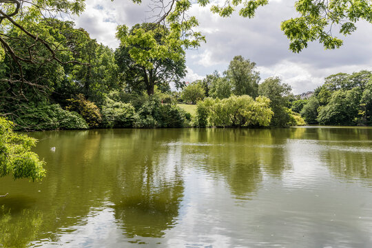 lake at Orsted park, Copenhagen
