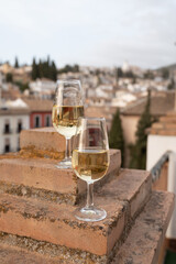 Tasting of sweet and dry fortified Vino de Jerez sherry wine with view on roofs and houses of old andalusian town