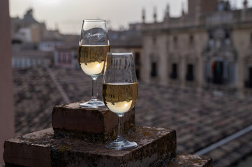 Tasting of sweet and dry fortified Vino de Jerez sherry wine with view on roofs and houses of old...