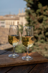 Tasting of Spanish sweet and dry fortified Vino de Jerez sherry wine with view on roofs and houses of old andalusian town