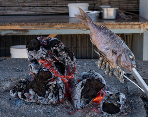 Malaga style of preparation of fresh fish, catch of the day, on skewers and open flame on fireplace with olive trees wood
