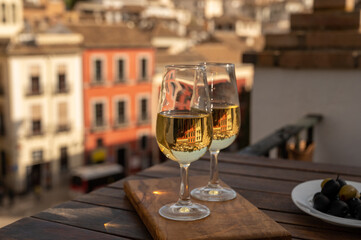 Tasting of Spanish sweet and dry fortified Vino de Jerez sherry wine with view on roofs and houses...