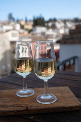 Tasting of sweet and dry fortified Vino de Jerez sherry wine with view on roofs and houses of old andalusian town