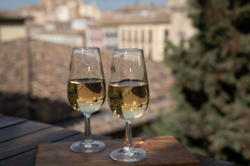 Tasting of Spanish sweet and dry fortified Vino de Jerez sherry wine with view on roofs and houses of old andalusian town