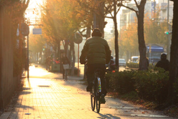 冬の朝、自転車をこぐ男性の後ろ姿の写真　アジア　日本