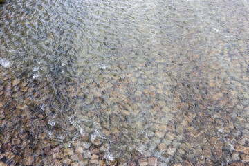 日本の川の流れおよび石の川底
