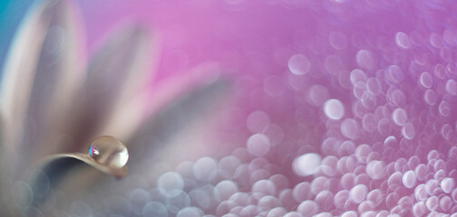 flower with dew dop - beautiful macro photography with abstract bokeh background.