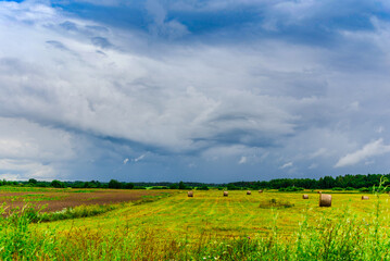 Agricultural farmland fields in gorgeous green valley surrounded by forest on stormy summer day.Bad weather evening.