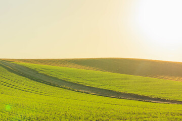 夕日に染まる美瑛の丘「秋の北海道」