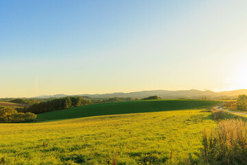 Obraz premium 夕日に染まる美瑛の丘「秋の北海道」