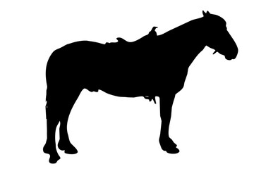 silhouette of a horse with a saddle on a white background - 519554223