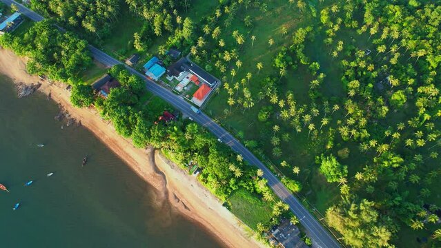 Drones fly over the shores of tropical seas. Many coconut trees. The road parallels the beautiful coast. Turquoise water in the Gulf of Thailand. Chumphon,Thailand. 4K drones
